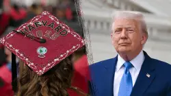 Harvard sues Trump admin over foreign student ban, describes it as 'government vendetta’