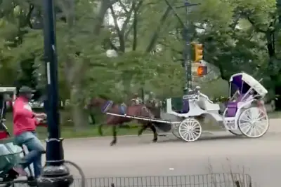 Central Park horse runs wild without driver in shocking video: ‘One of the most terrifying experiences’