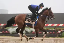 Preakness Stakes 2025 odds, horses, jockeys and complete bettor’s guide